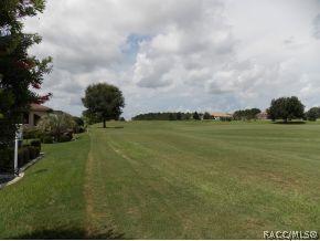 407 W Mickey Mantle, Hernando, FL 34442 photo 21