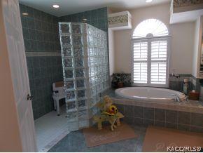 407 W Mickey Mantle, Hernando, FL 34442 photo 12