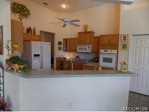 407 W Mickey Mantle, Hernando, FL 34442 photo 8