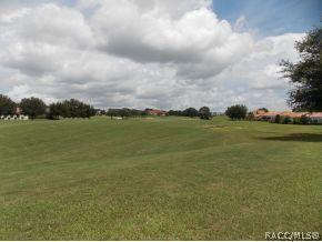 407 W Mickey Mantle, Hernando, FL 34442 photo 22