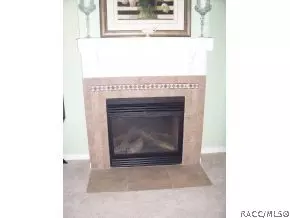 1349 W Olympia St, Hernando, FL 34442 photo 7
