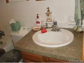 4286 E Shorewood Dr, Hernando, FL 34442 photo 13