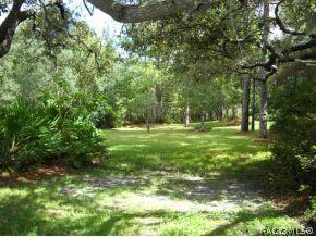 3600 N Grayhawk Loop, Lecanto, FL 34461 photo 20