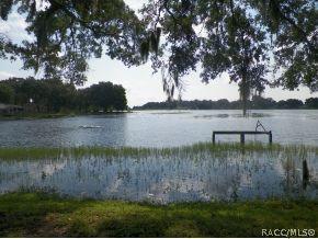 3521 E Flying Arrow Path, Hernando, FL 34442 photo 3