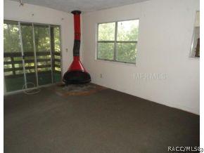 32415 Smallman, Webster, FL 33597 photo 2