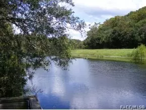 8445 N Oak River Way, Hernando, FL 34442 photo 16