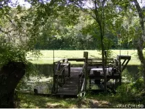 8445 N Oak River Way, Hernando, FL 34442 photo 14