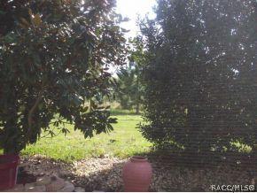 892 W Silver Meadow Loop, Hernando, FL 34442 photo 17