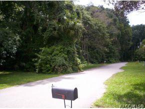 6451 Bass, Weeki Wachee, FL 34607 photo 3