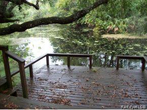 6401 E River Rd, Hernando, FL 34442 photo 12