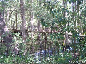 6401 E River Rd, Hernando, FL 34442 photo 11
