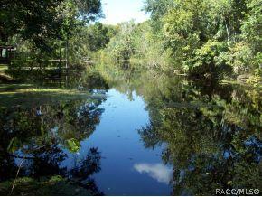 6401 E River Rd, Hernando, FL 34442 photo 2