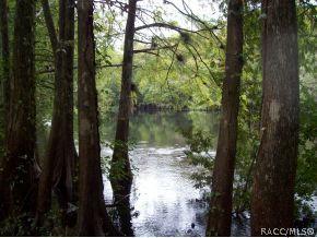 6401 E River Rd, Hernando, FL 34442 photo 13