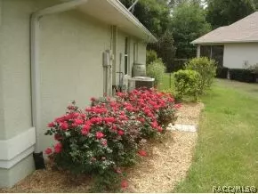 3691 N Chandler Dr, Hernando, FL 34442 photo 20