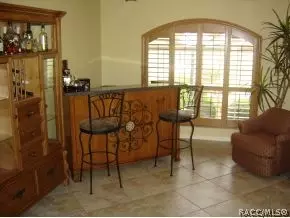 3691 N Chandler Dr, Hernando, FL 34442 photo 10