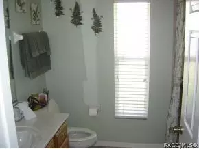 3691 N Chandler Dr, Hernando, FL 34442 photo 16