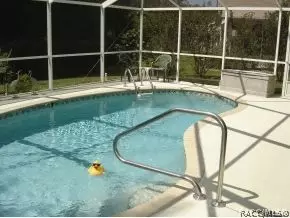 3691 N Chandler Dr, Hernando, FL 34442 photo 17