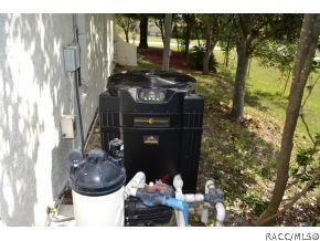 13327 Brewster Rd, Spring Hill, FL 34609 photo 8