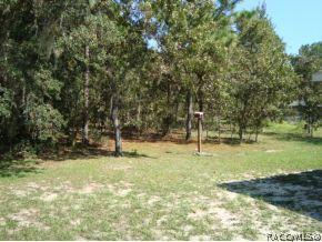 1667 E Bismark St, Hernando, FL 34442 photo 18