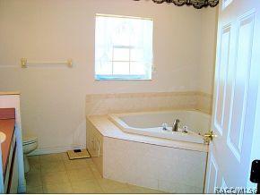 1667 E Bismark St, Hernando, FL 34442 photo 11