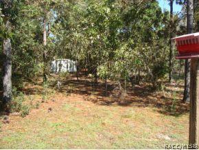 1667 E Bismark St, Hernando, FL 34442 photo 17