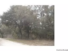 4580 Treeline, Hernando, FL 34442 photo 1