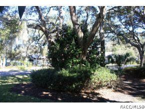 392 W Keller, Hernando, FL 34442 photo 23