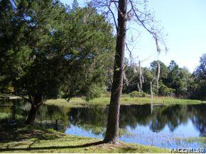 5025 N Emerald Dr, Hernando, FL 34442 photo 3
