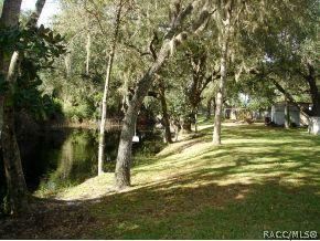 6249 N Shorewood, Hernando, FL 34442 photo 19