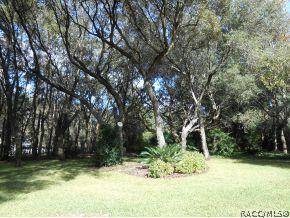 191 W Liberty, Hernando, FL 34442 photo 22