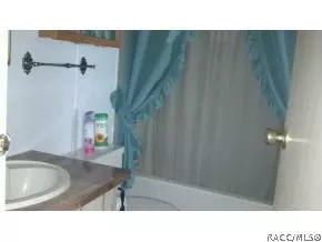 3401 E Wagon Trl, Hernando, FL 34442 photo 9
