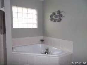 3785 E Teal Cove Ct, Hernando, FL 34442 photo 5