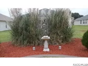 3785 E Teal Cove Ct, Hernando, FL 34442 photo 18
