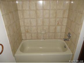 5736 S Pine Tree Pt, Lecanto, FL 34461 photo 8