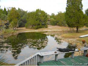 15359 W River Rd, Inglis, FL 34449 photo 15