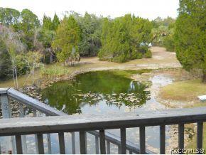 15359 W River Rd, Inglis, FL 34449 photo 19