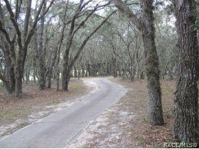 42 W Keller, Hernando, FL 34442 photo 20