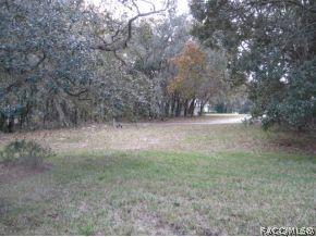 42 W Keller, Hernando, FL 34442 photo 19