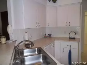 3705 E Cove Park Trl, Hernando, FL 34442 photo 6