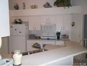 3705 E Cove Park Trl, Hernando, FL 34442 photo 8