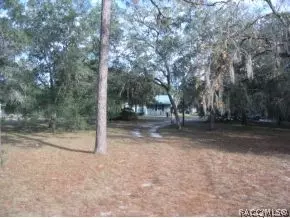 6851 N Castlebury, Hernando, FL 34442 photo 15