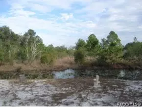 6851 N Castlebury, Hernando, FL 34442 photo 3