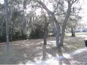 6851 N Castlebury, Hernando, FL 34442 photo 16