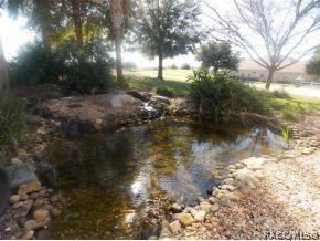 1805 N Gibson Pt, Hernando, FL 34442 photo 17
