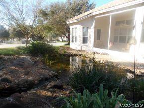 1805 N Gibson Pt, Hernando, FL 34442 photo 20