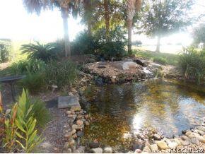 1805 N Gibson Pt, Hernando, FL 34442 photo 18
