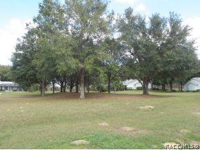 2284 N Hardee Pt, Hernando, FL 34442 photo 24