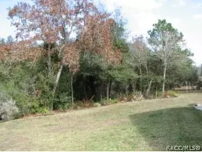 4195 N Monadnock Rd, Hernando, FL 34442 photo 21