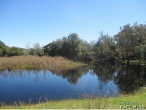 3910 E Laguna Loop, Hernando, FL 34442 photo 10