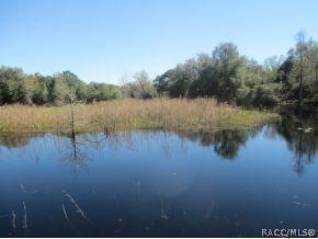 3910 E Laguna Loop, Hernando, FL 34442 photo 11